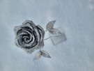 Håndlagde blomster thumbnail